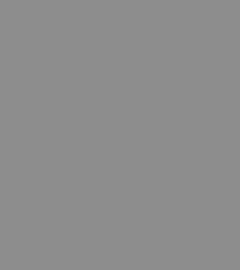 Adore #56 Cajun Spice